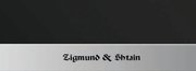 Духовой шкаф Zigmund Shtain EN 59.511 S фото 3 в Екатеринбурге