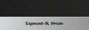Духовой шкаф Zigmund Shtain EN 59.512 S фото 3 в Екатеринбурге