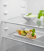 Встраиваемый холодильник Electrolux LND5FE18S фото 4 в Екатеринбурге