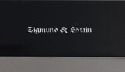 Духовой шкаф Zigmund Shtain EN 142.921 S фото 4 в Екатеринбурге