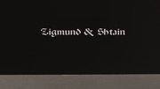 Духовой шкаф Zigmund Shtain EN 132.921 S фото 4 в Екатеринбурге