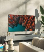 Телевизор LG OLED65G2 фото 3 в Екатеринбурге