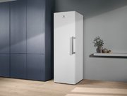 Морозильная камера Electrolux RUT5NF28W1 фото 3 в Екатеринбурге