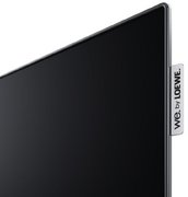 Телевизор Loewe We. SEE 65 oled coal black фото 4 в Екатеринбурге