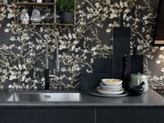 Мойка Franke BXX 210-68 сталь фото 2 в Екатеринбурге