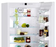 Холодильник Liebherr C 4023 фото 4 в Екатеринбурге