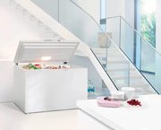 Морозильный ларь Liebherr GT 3032 фото 3 в Екатеринбурге