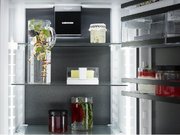 Встраиваемый холодильник Liebherr ICBNbsd 5173 фото 4 в Екатеринбурге
