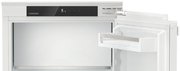 Встраиваемый холодильник Liebherr IRe 4021 Plus фото 3 в Екатеринбурге