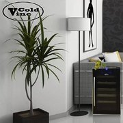 Винный шкаф Cold Vine C18-TBF1 фото 3 в Екатеринбурге