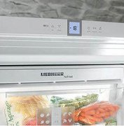 Холодильник Liebherr ICUNS 3023 фото 3 в Екатеринбурге