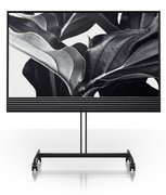 Телевизор Bang & Olufsen BeoVision Horizon 48 фото в Екатеринбурге