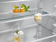 Встраиваемый холодильник Electrolux ENT6ME19S фото 4 в Екатеринбурге