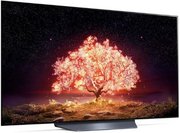 Телевизор LG OLED55B1RLA фото 2 в Екатеринбурге