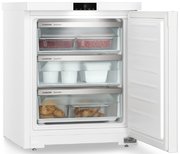 Морозильник Liebherr Fe 1003 фото 2 в Екатеринбурге