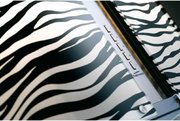 Вытяжка Falmec Mirabilia 67 Zebra Vetro (800) ECP фото 2 в Екатеринбурге