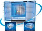 Холодильник Sharp SJ-GF60AR фото 4 в Екатеринбурге