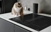 Индукционная варочная панель Zigmund Shtain CIS 303.60 BX с вытяжкой фото 4 в Екатеринбурге