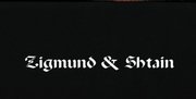 Духовой шкаф Zigmund Shtain EN 121.921 B фото 4 в Екатеринбурге