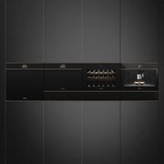 Духовой шкаф комбинированный с микроволновой печью Smeg SF4604PMCNR фото 3 в Екатеринбурге