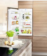 Встраиваемый холодильник Liebherr IK 1950 Premium фото 2 в Екатеринбурге