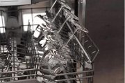 Встраиваемая посудомоечная машина Gaggenau DF480100F фото 4 в Екатеринбурге
