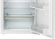 Встраиваемый холодильник Liebherr IRf 3901 Pure фото 4 в Екатеринбурге
