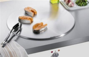 Тепан Miele CT 400 P фото 2 в Екатеринбурге