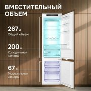Встраиваемый холодильник Zigmund Shtain BR 25 X фото 4 в Екатеринбурге