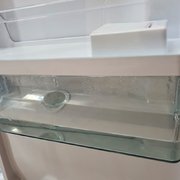 Холодильник Kaiser KS80420R фото 4 в Екатеринбурге