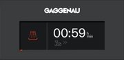 Посудомоечная машина Gaggenau DI261112 фото 4 в Екатеринбурге