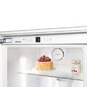 Холодильник Liebherr IK 2760 фото 4 в Екатеринбурге