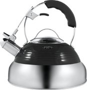 Чайник Maunfeld MRK-119BK фото в Екатеринбурге