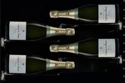 Винный шкаф Dunavox DX-58.258DB фото 3 в Екатеринбурге