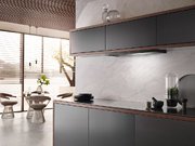 Встраиваемая вытяжка Miele DAS 2920 черный матовый фото 3 в Екатеринбурге
