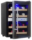 Винный шкаф Cold Vine C12-TSF2