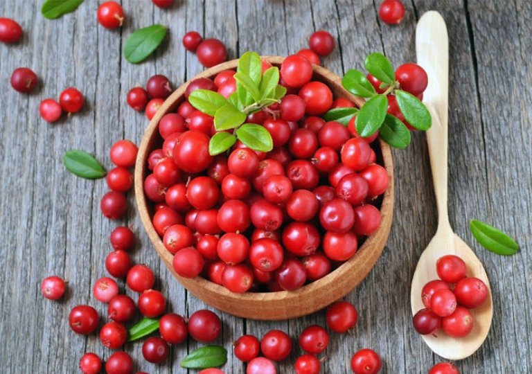 Можно ли, как и сколько хранить клюкву в холодильнике?