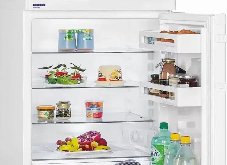 Обзор холодильника Liebherr T 1710 Comfort